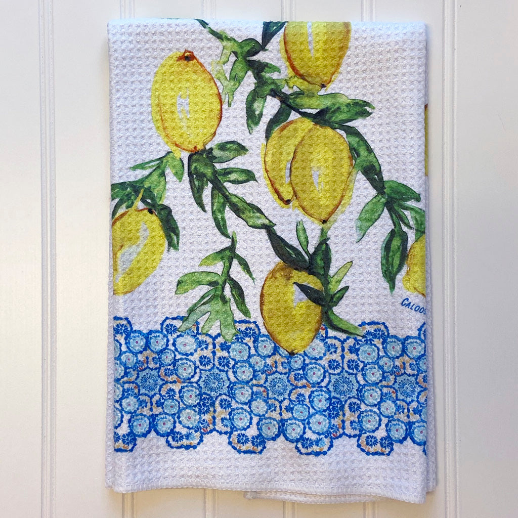 Citrus Inspired Microfiber Dish Towel Bundle Set – Caloosa Water Wear