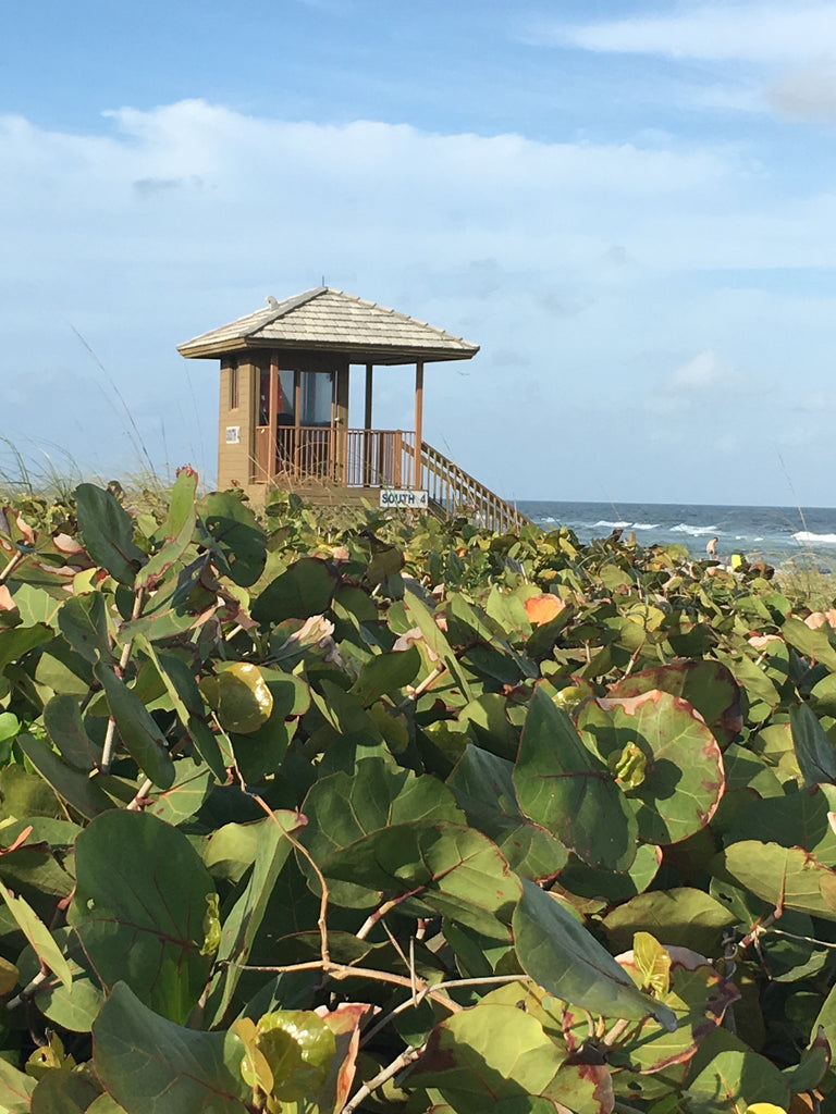 TOP 3 REASONS YOU NEED TO JOIN US FOR THE BEACH CLEAN UP THIS WEEKEND