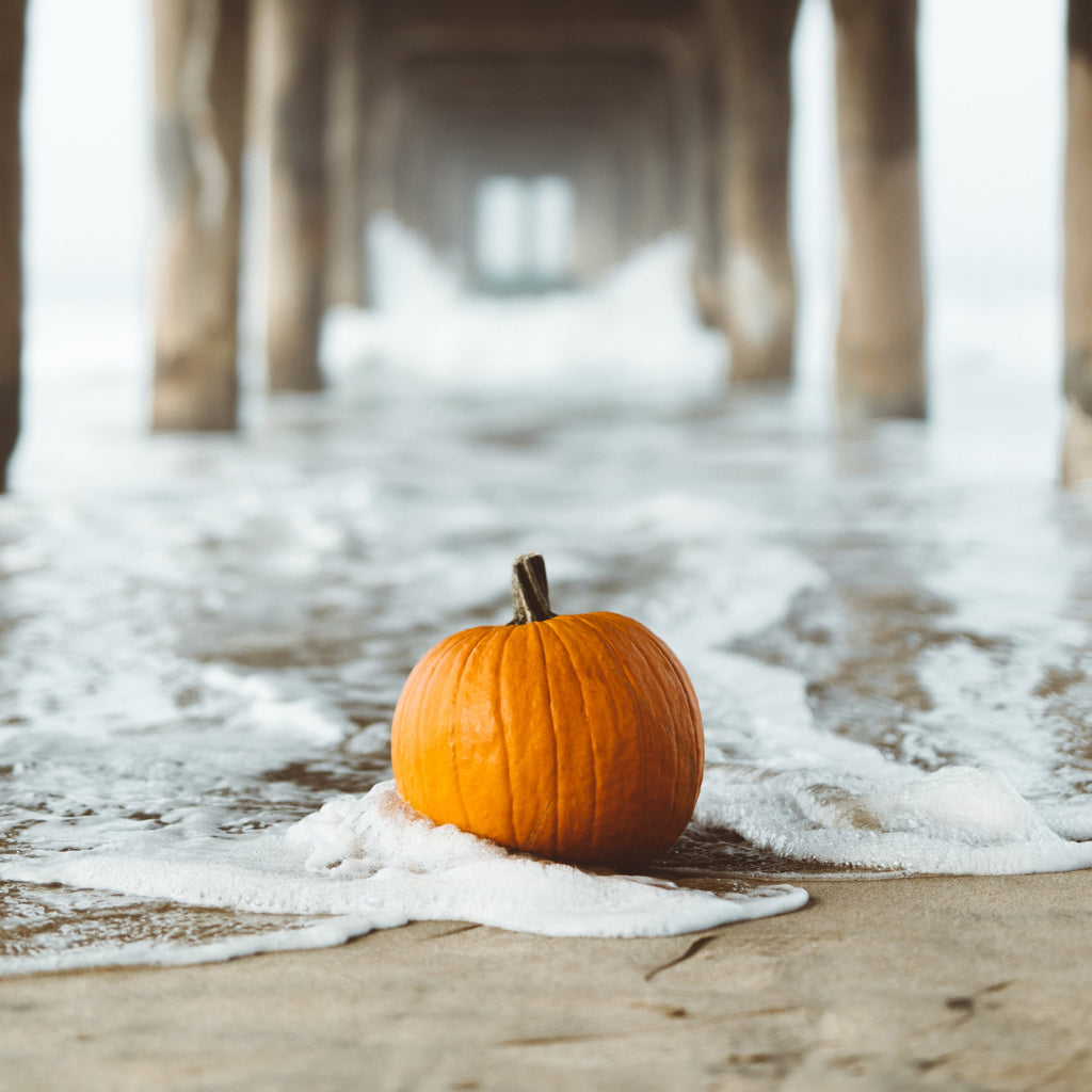 LAST CALL: Tropical Halloween Collection is coming to an end